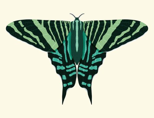 Art Therapy in Montreal: Why Multicultural Art Therapists Matter & How it Helps the Healing Process